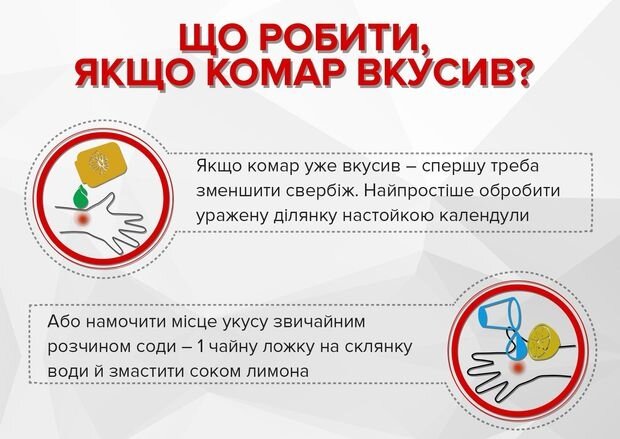 Як вберегтися від укусів комарів: практичні поради